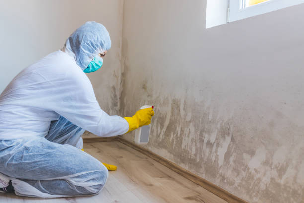 Mold Remediation specialist working in Princeton